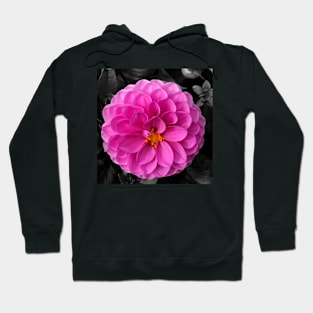 Pink Dahlia Hoodie